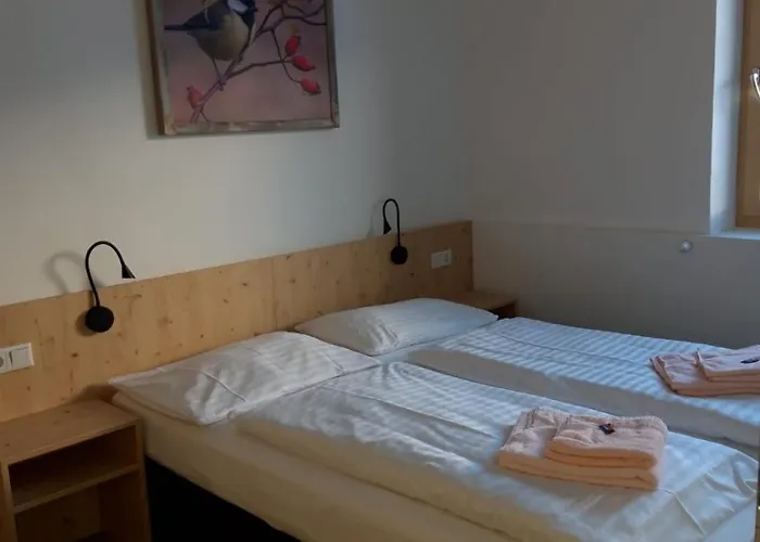 Guest house Dav-haus